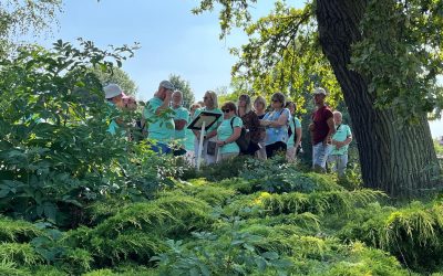 Klucze – Szlakiem dworskiej zabudowy