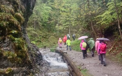 Tatry – Droga pod Reglami, Droga nad Reglami