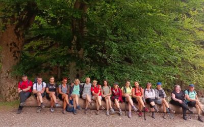 Góry Złote, Góry Bialskie, Góry Bystrzyckie, Góry Bardzkie – Kowadło, Rudawiec, Jagodna, Kłodzka Góra